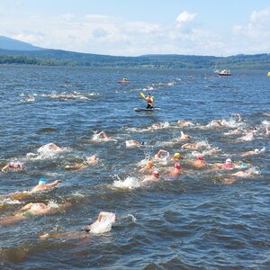 Mezinárodní závody v dálkovém plavání 2022