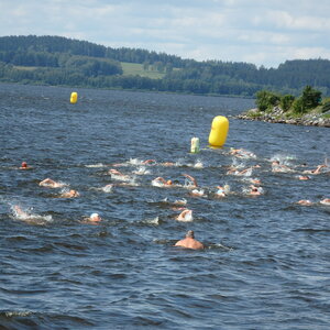 Mezinárodní závody v dálkovém plavání 2022
