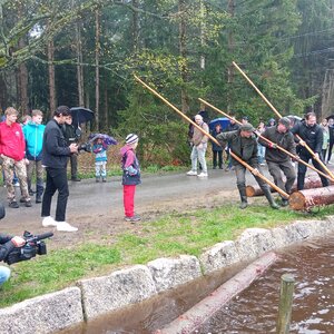 Slavnostní ukázky plavení dřeva na Želnavském smyku